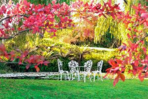 Leuke stoelen voor in je tuin